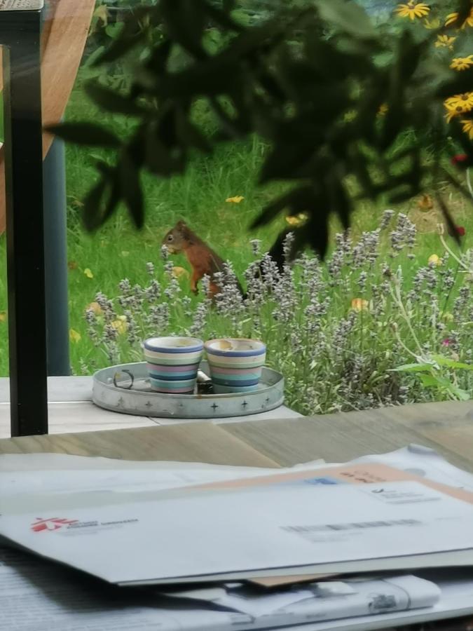 Scrab&Ble Ecologische Gastenkamers Bornem Eksteriør bilde